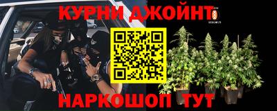 а пвп мука Кингисепп