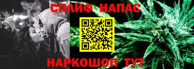 spice Кинель
